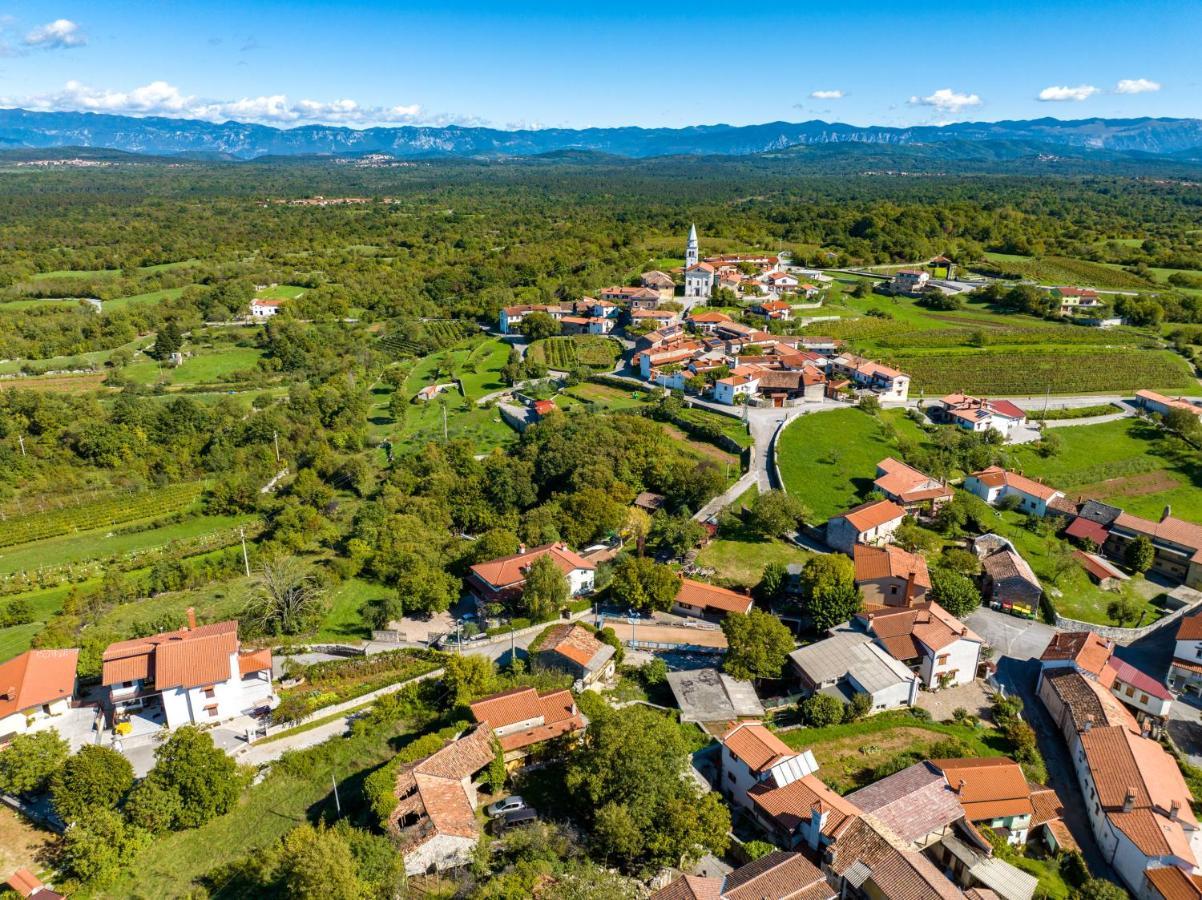Вілла Karst House Zan Pliskovica With Private Pool Дутовлє Екстер'єр фото
