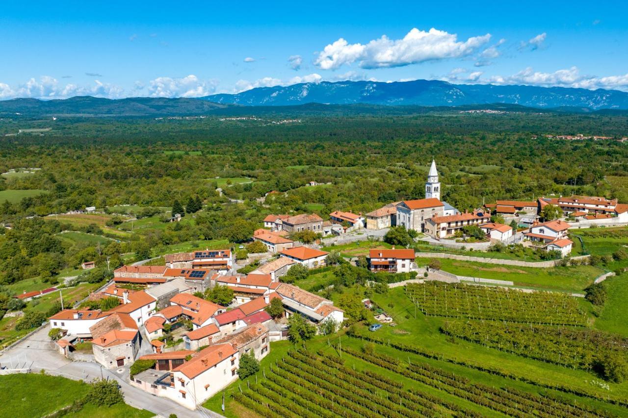 Вілла Karst House Zan Pliskovica With Private Pool Дутовлє Екстер'єр фото