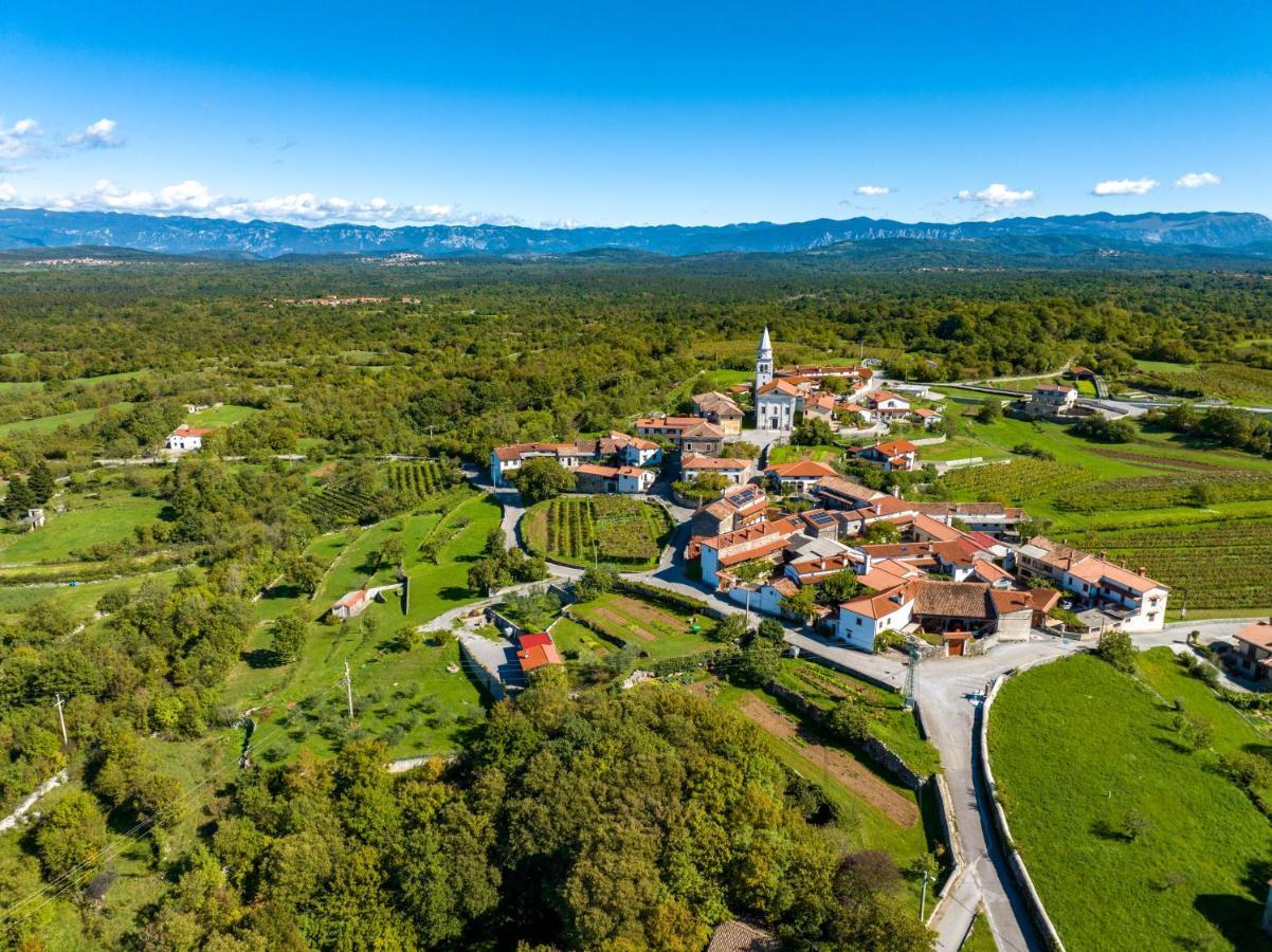 Вілла Karst House Zan Pliskovica With Private Pool Дутовлє Екстер'єр фото